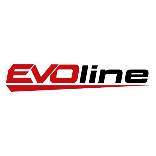 Двигатель бензиновый EVOline GB 210-E2