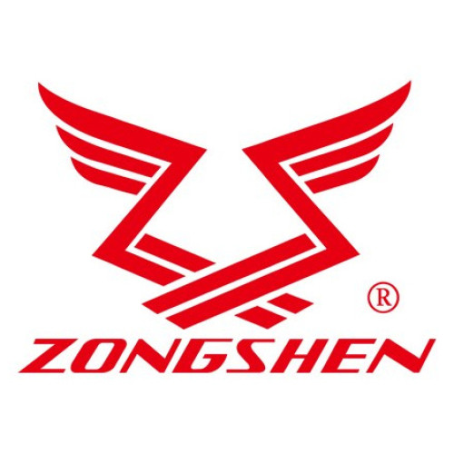 Двигатель бензиновый Zongshen ZS 190 FA2