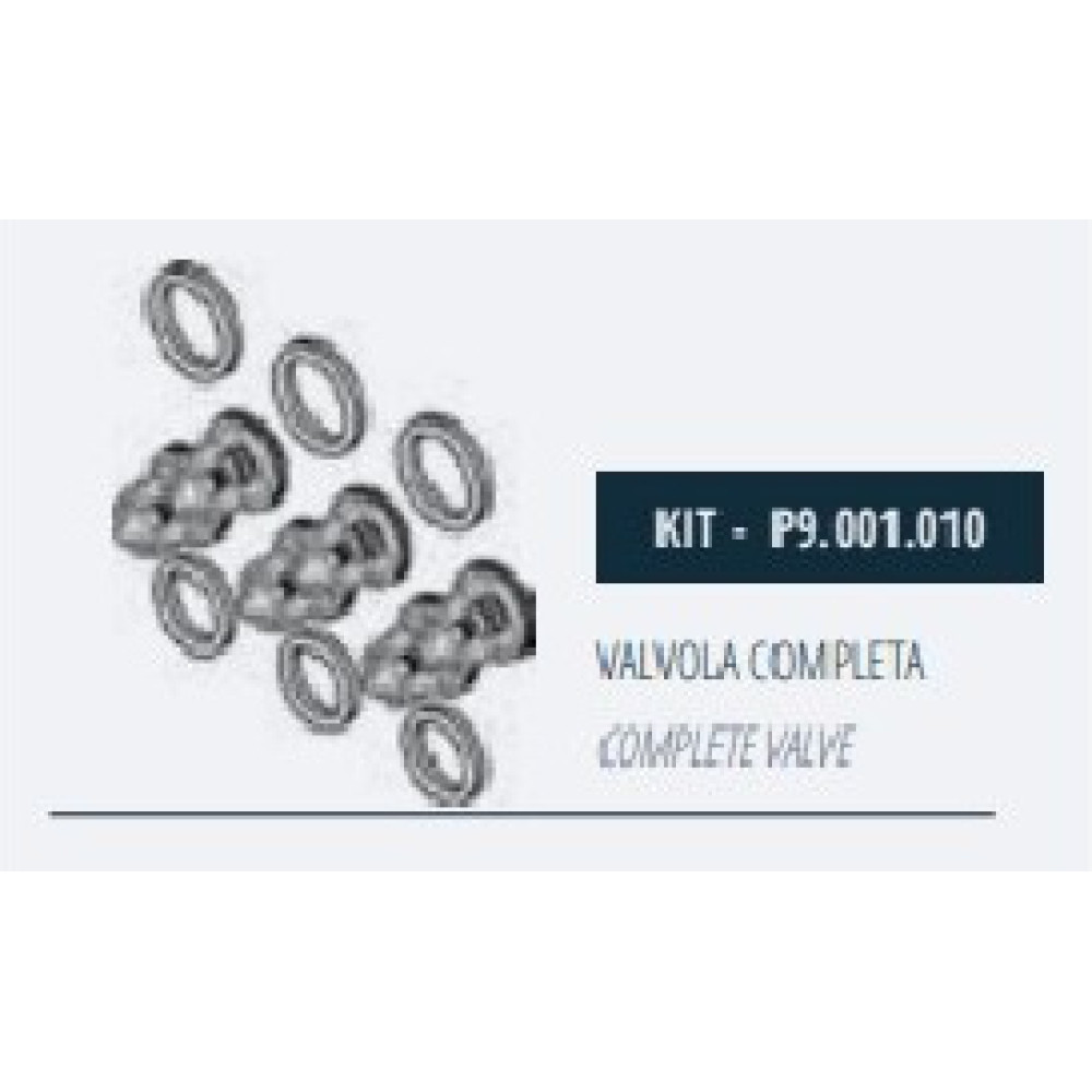 Комплект клапанов насоса Mazzoni GMX, P9.001.010