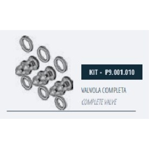 Комплект клапанов насоса Mazzoni GMX, P9.001.010