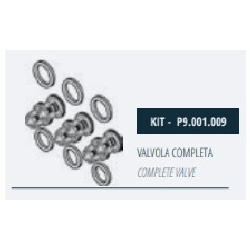 Комплект клапанов насоса Mazzoni GMX, P9.001.009