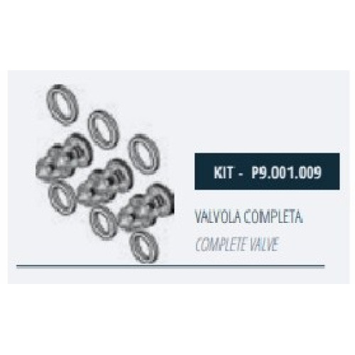 Комплект клапанов насоса Mazzoni GMX, P9.001.009